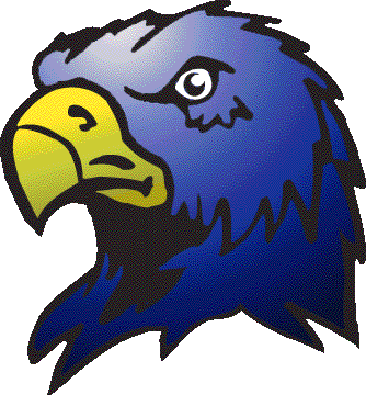 hawk 